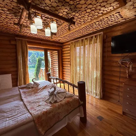 обійми гір *